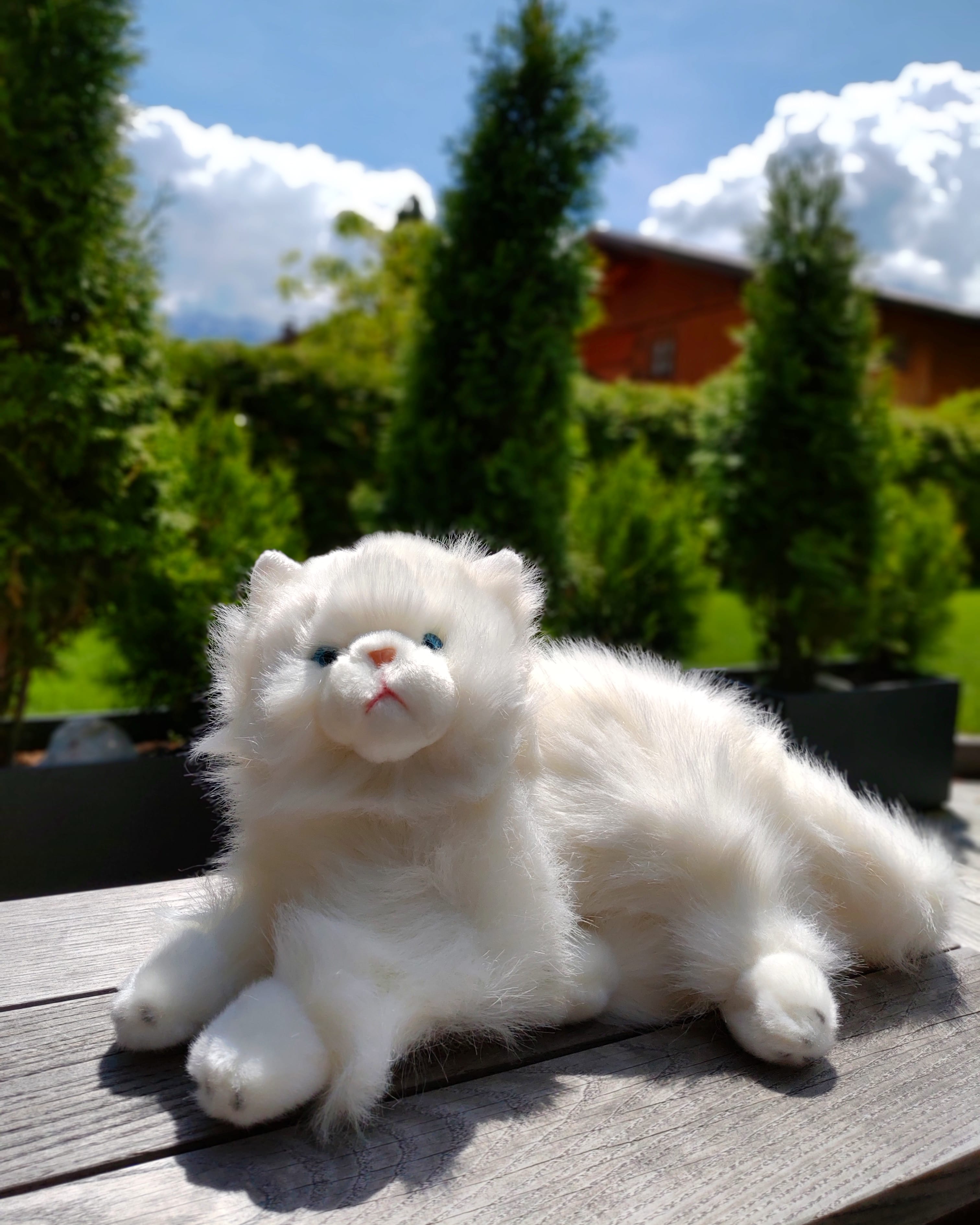Katze-Kuscheltier-Plüschtier-Stofftier