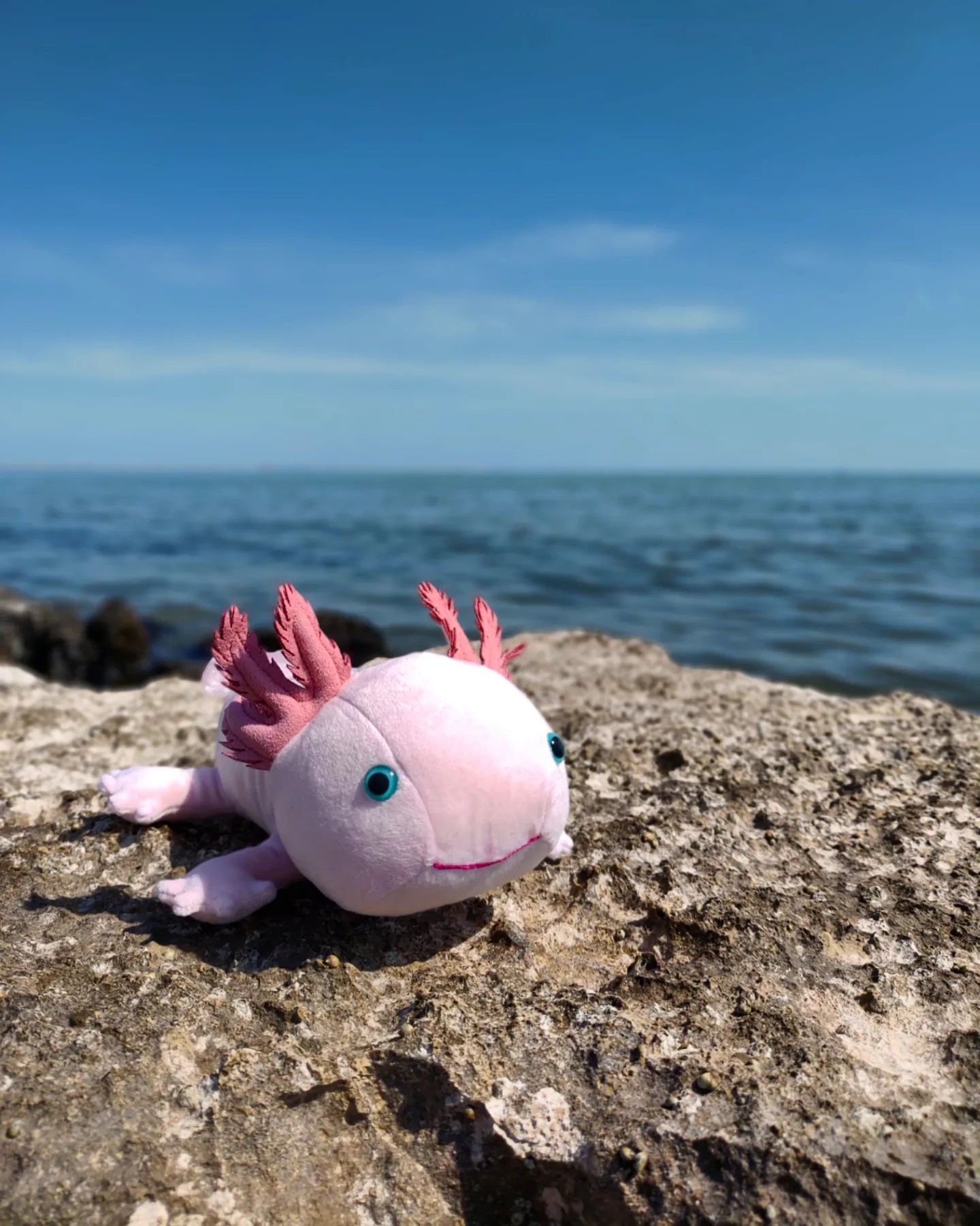 Axolotl-Kuscheltier-Plüschtier-Stofftier