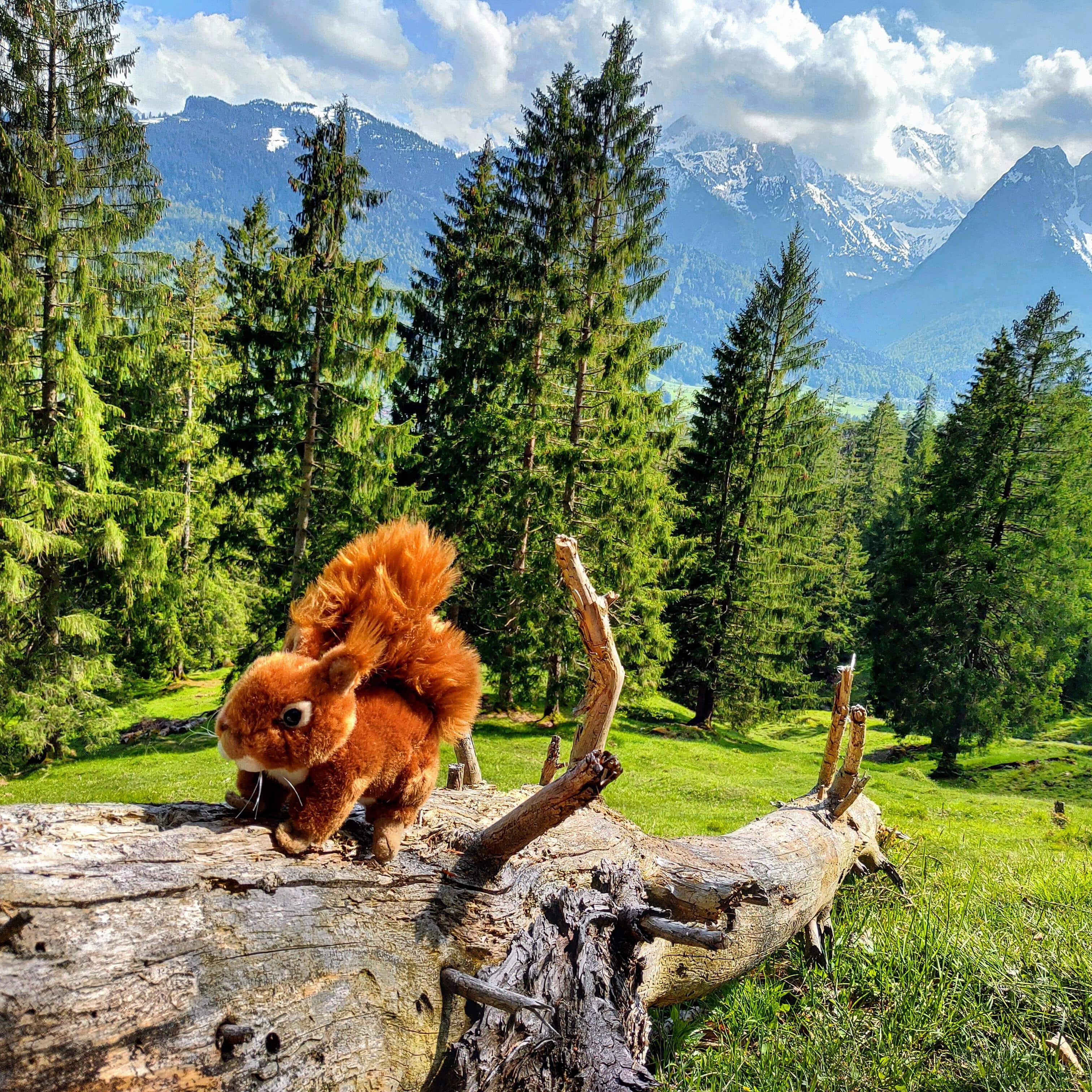 Eichhörnchen-Kuscheltier-Plüschtier-Stofftier