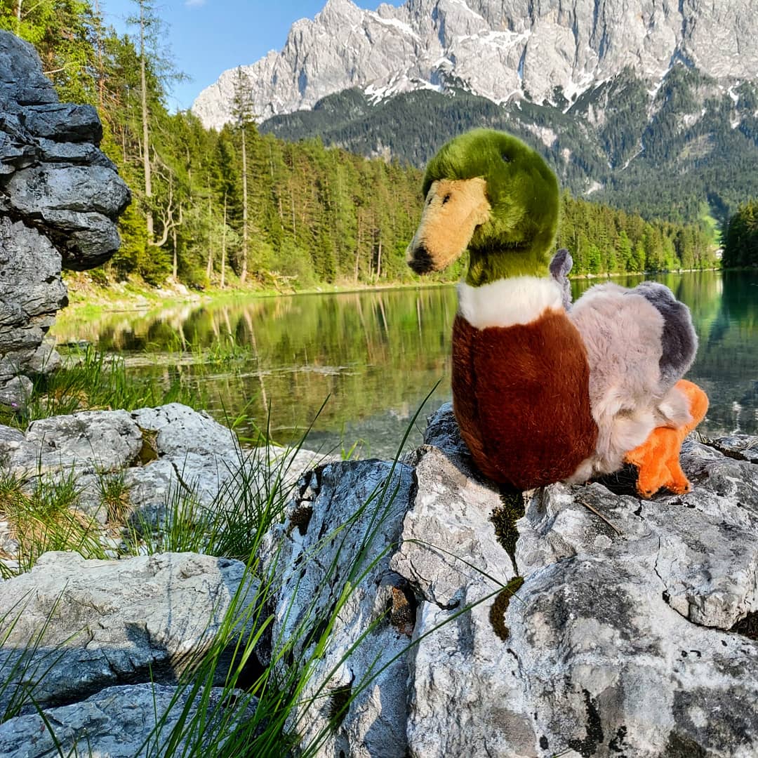 Ente-Kuscheltier-Plüschtier-Stofftier