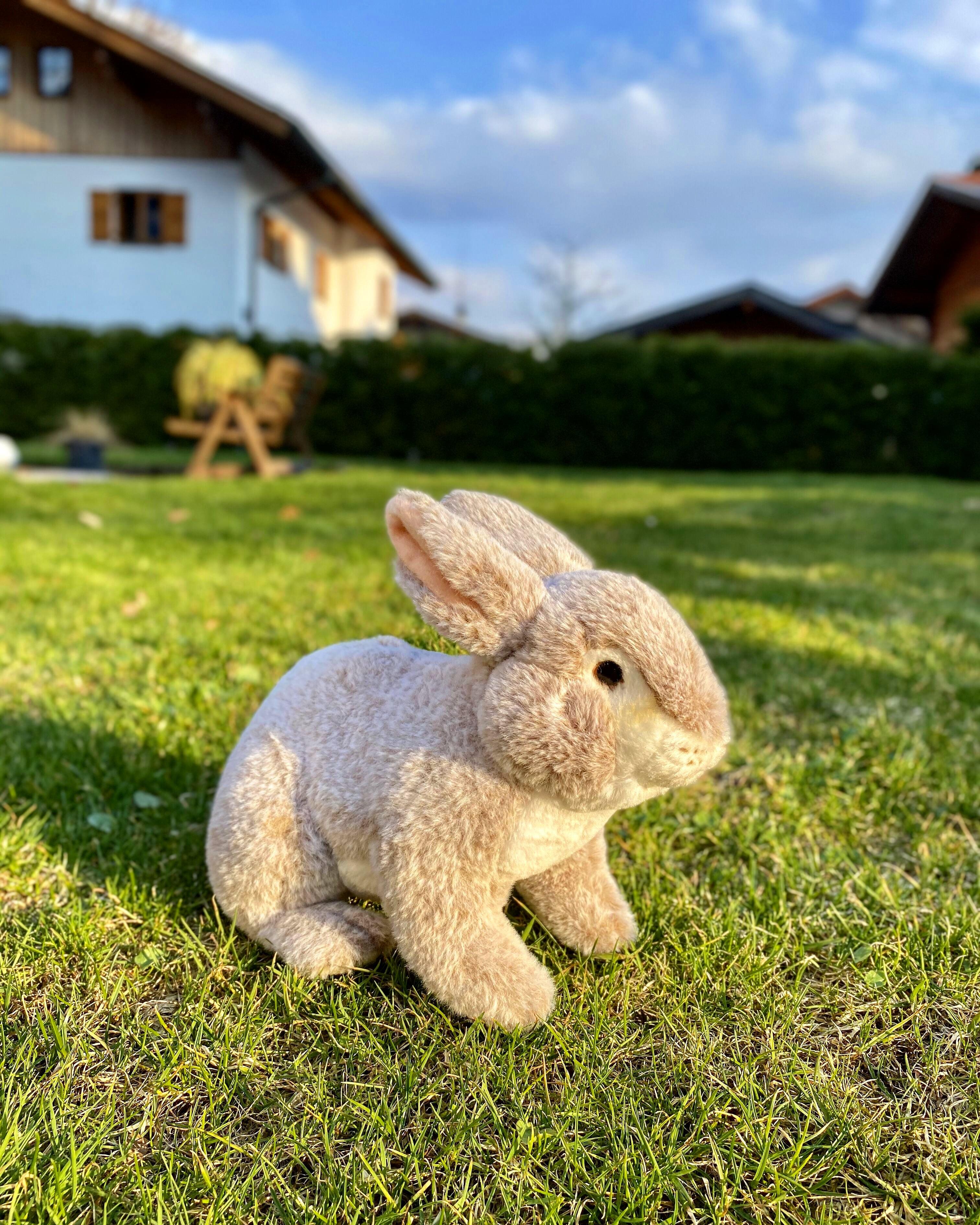 supersüßer Hase Plüsch tier Osterhase Ostern Kuscheltier Stofftier ab 0 Jahren 