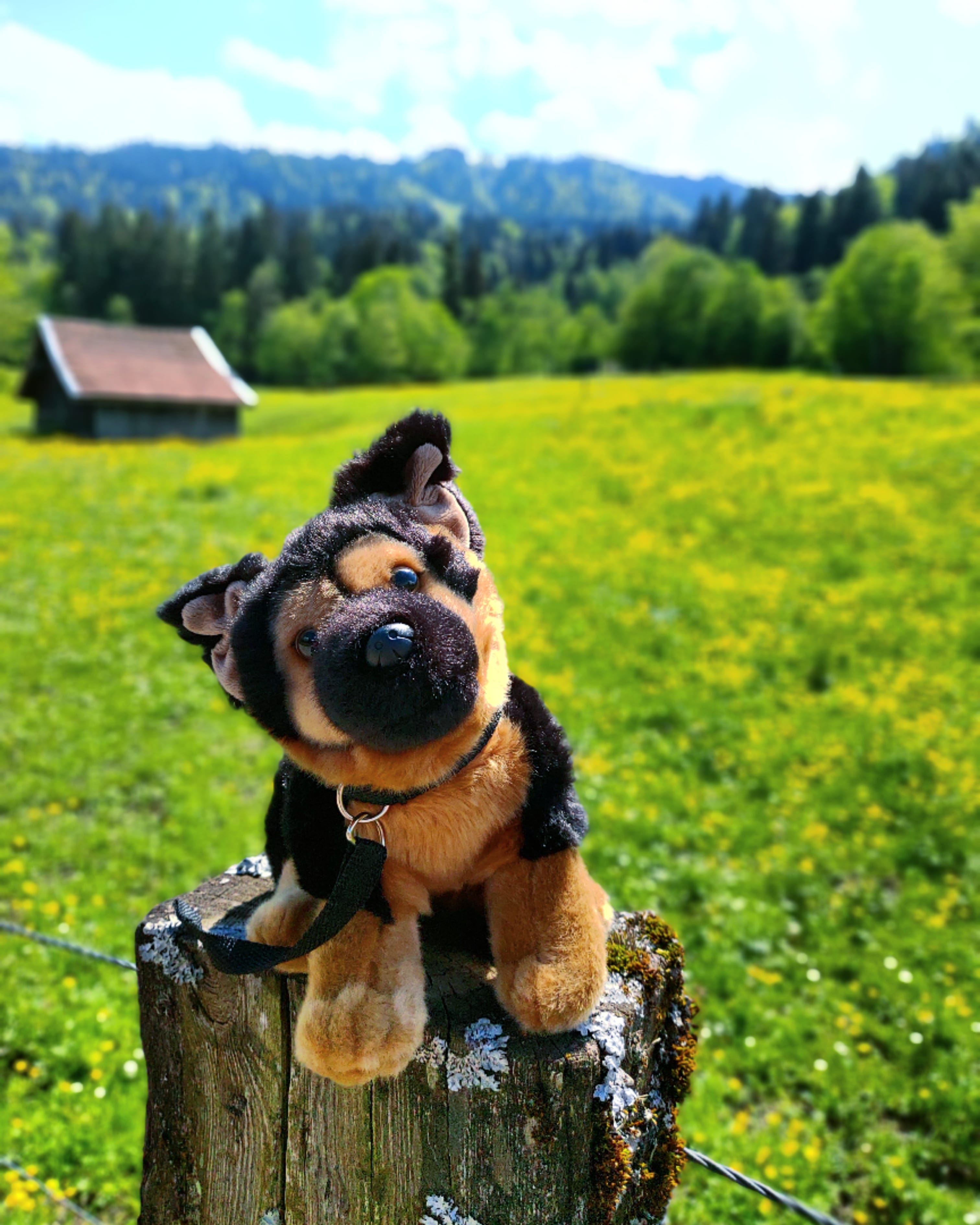 Schäferhund-Kuscheltier-Plüschtier-Stofftier