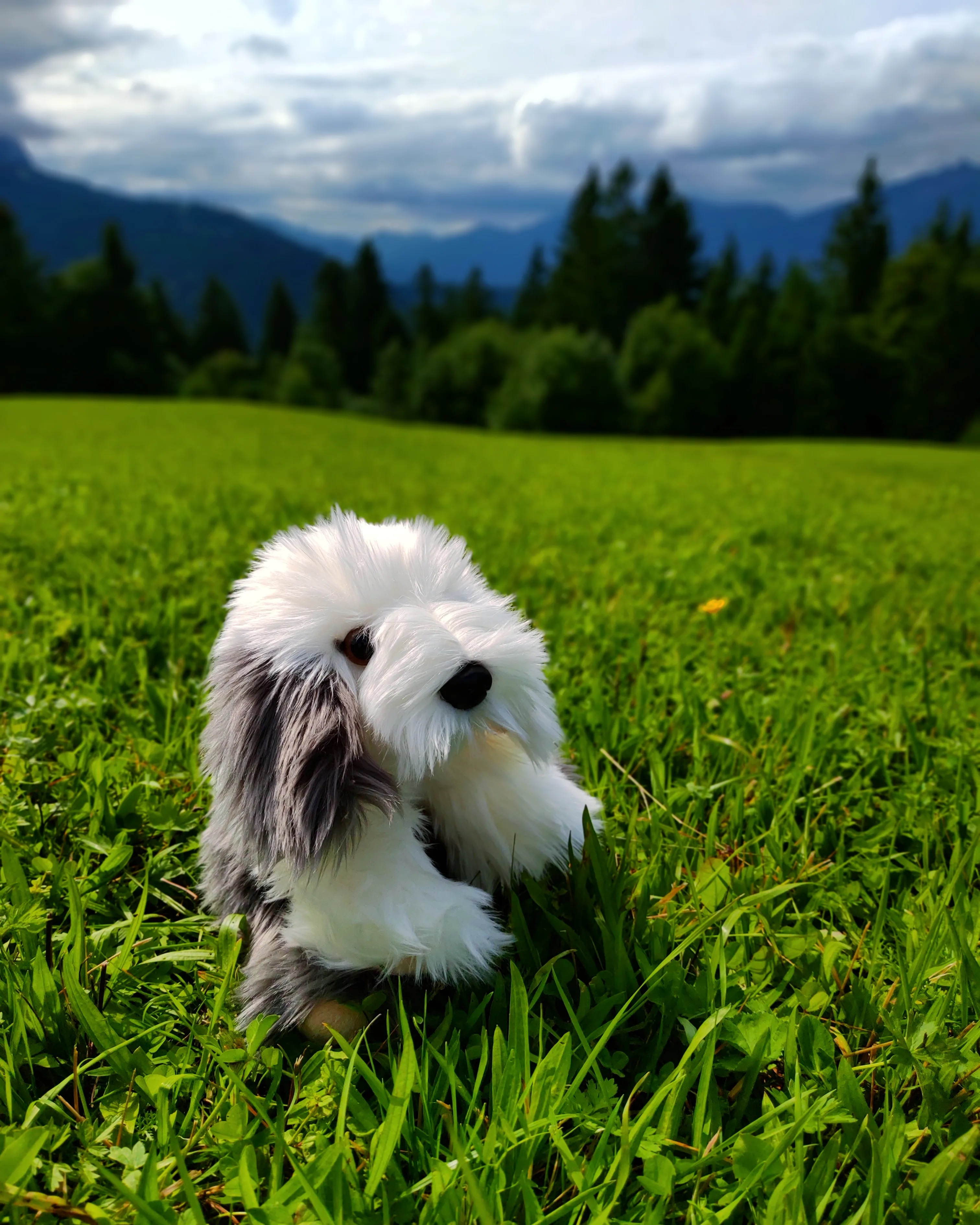 Hund-Kuscheltier-Plüschtier-Stofftier