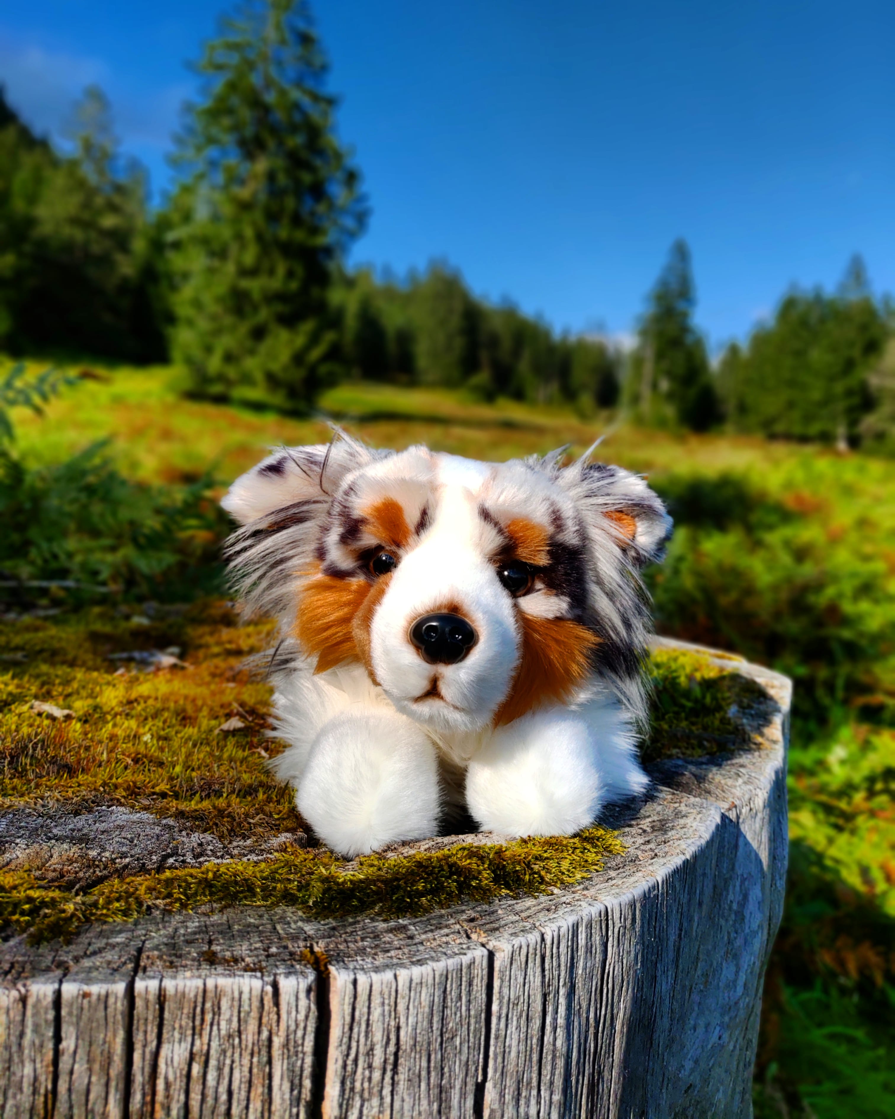 Australischer-Schäferhund-Kuscheltier-Plüschtier-Stofftier