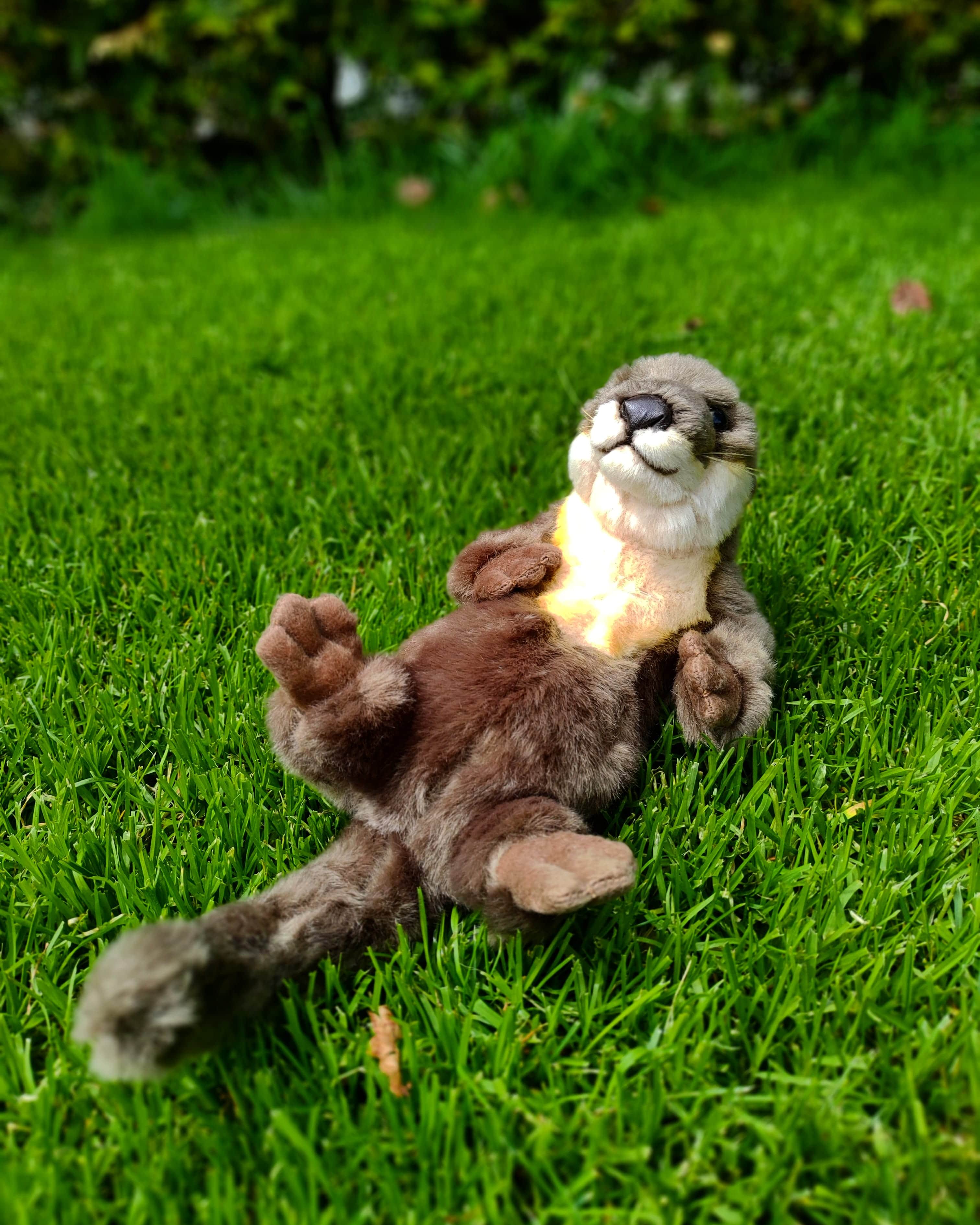 Otter-Kuscheltier-Plüschtier-Stofftier