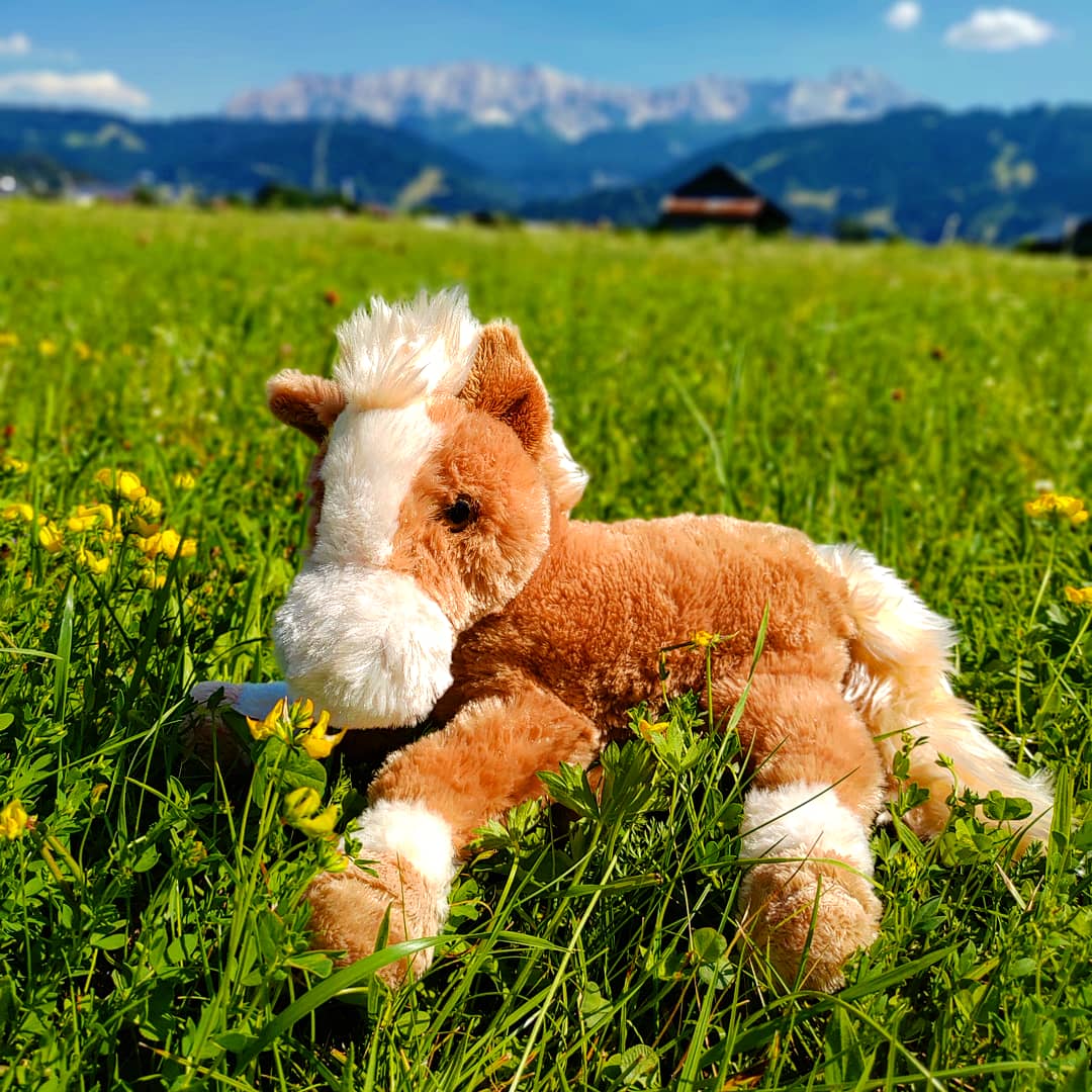 Pferd-Kuscheltier-Plüschtier-Stofftier