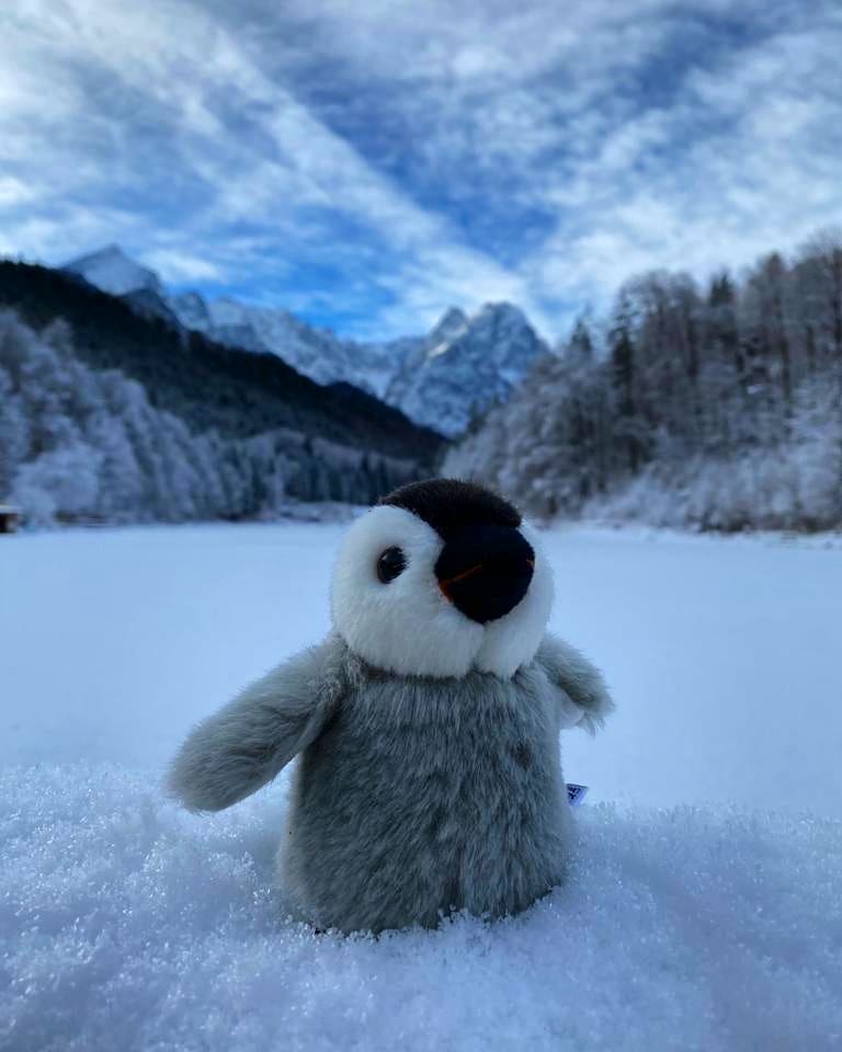 Kuscheltier Pinguin – 25 Cm, Rot, Superweich Aus Plüsch & Baumwollfüllung