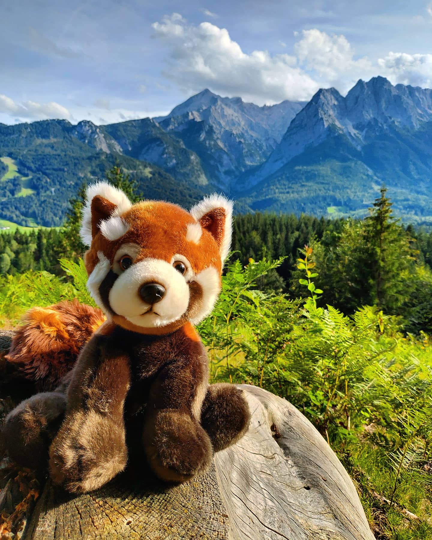 Roter-Panda-Kuscheltier-Plüschtier-Stofftier