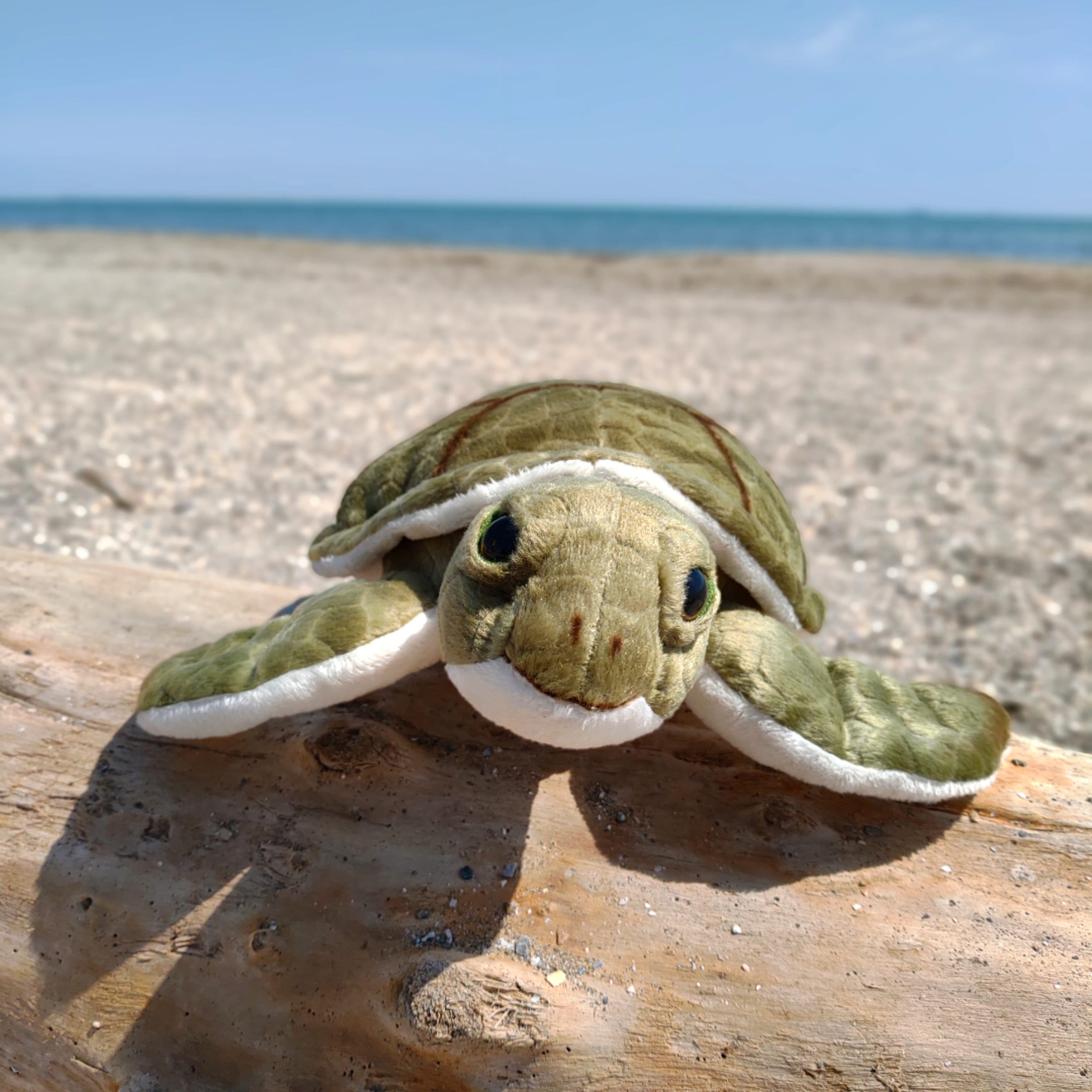 Schildkröte-Kuscheltier-Plüschtier-Stofftier