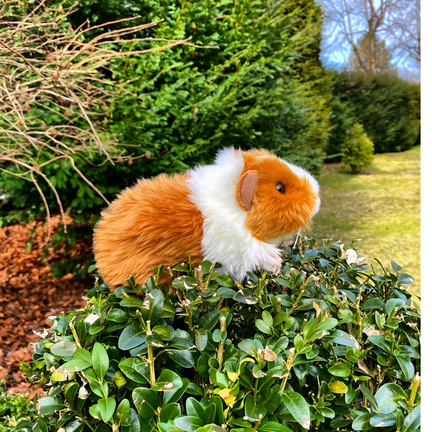 Guinea-Pig-Plush-Toy-Stuffed-Animal