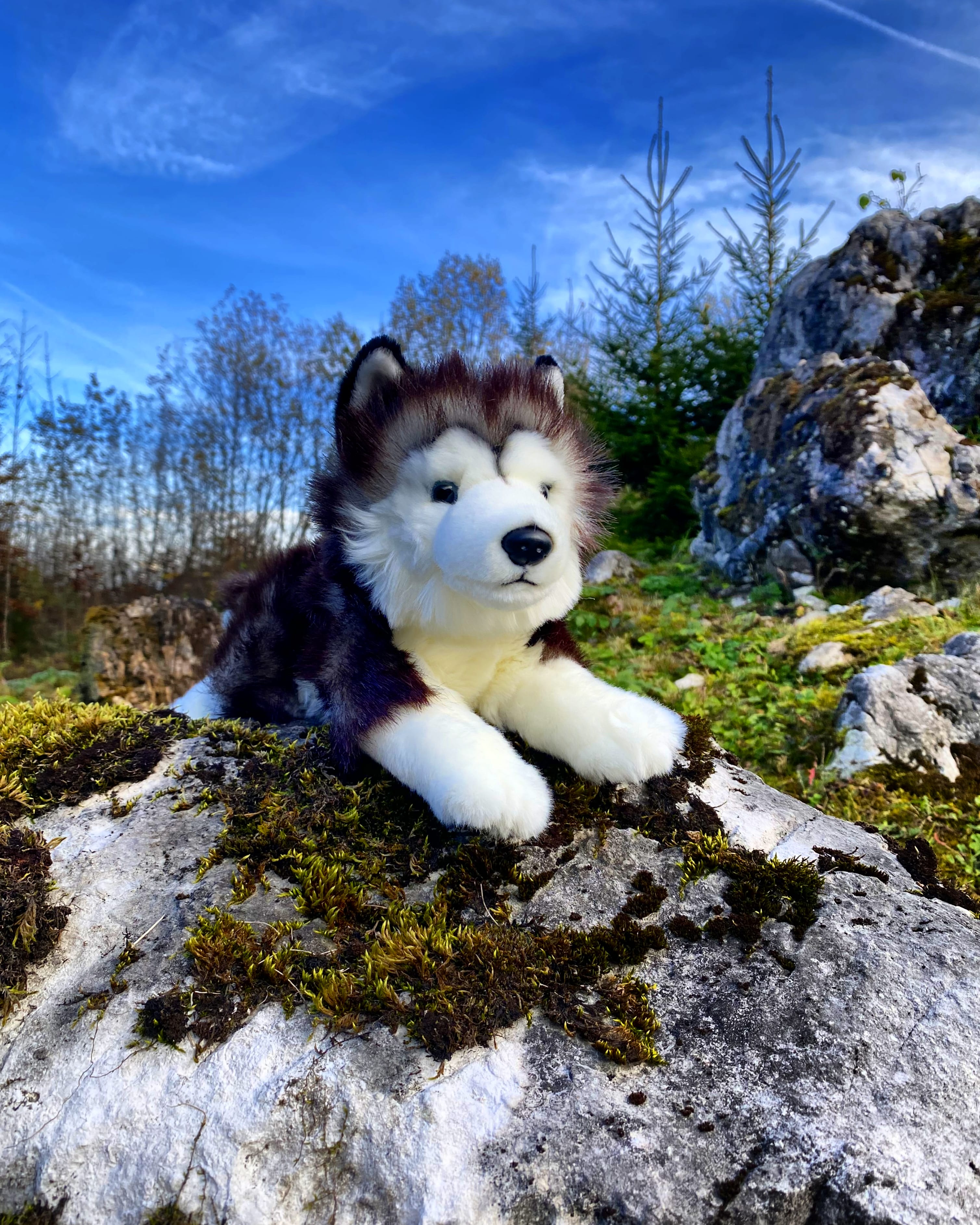 Husky-Plush-Toy-Stuffed-Animal