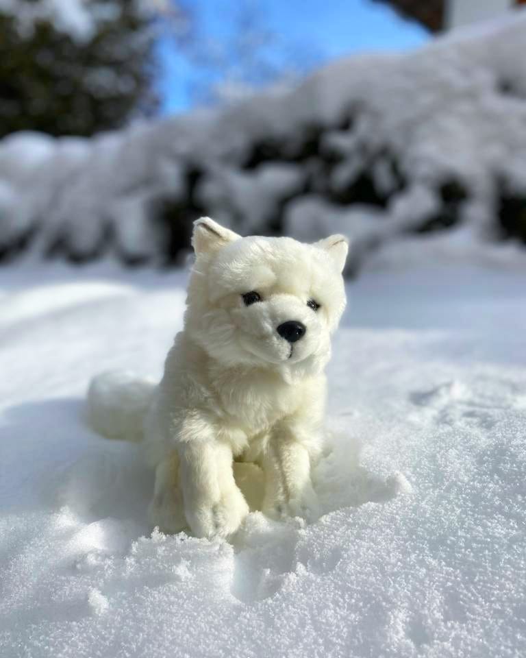 arctic-fox-plush-toy-stuffed-animal