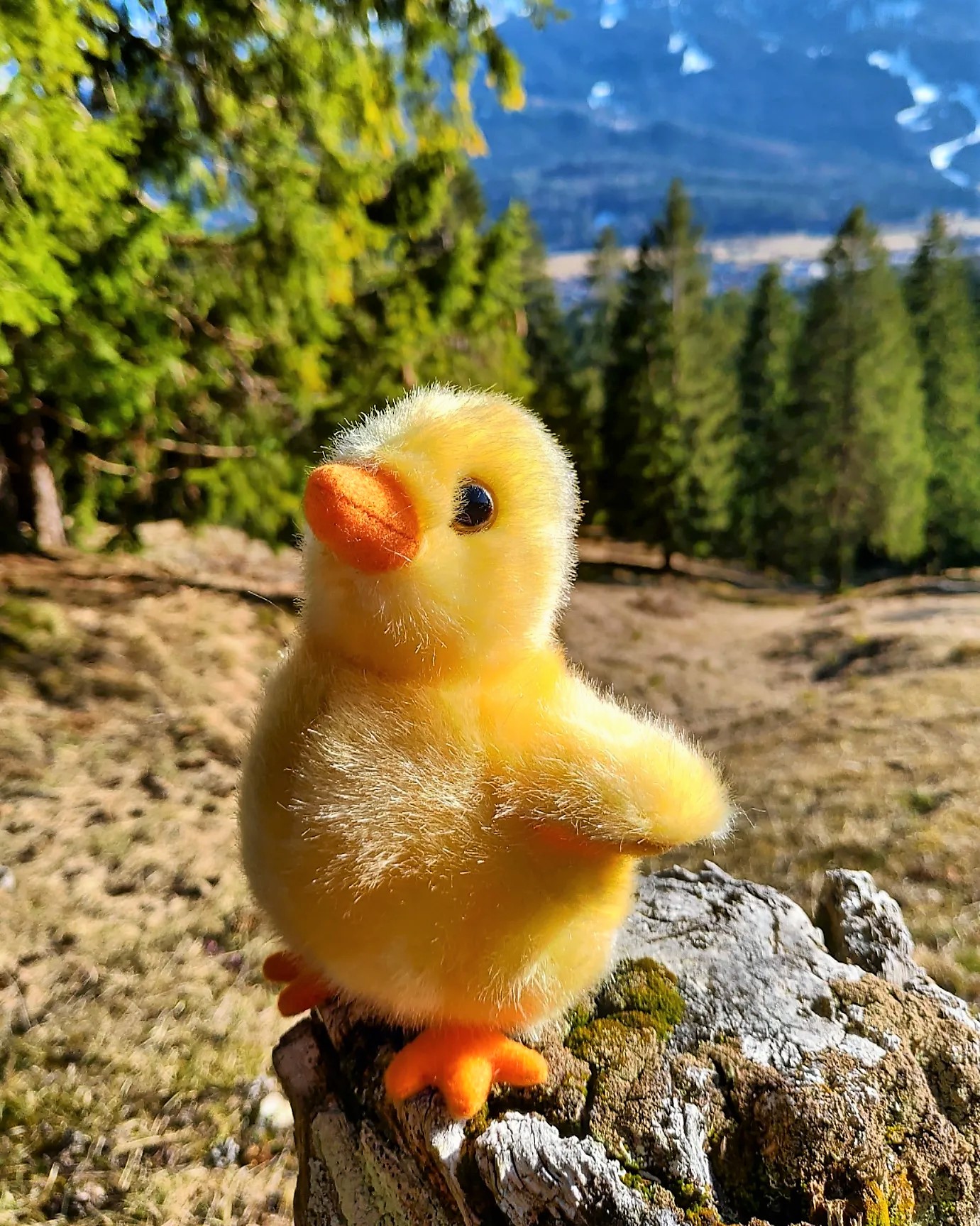 bird plush toy stuffed animal