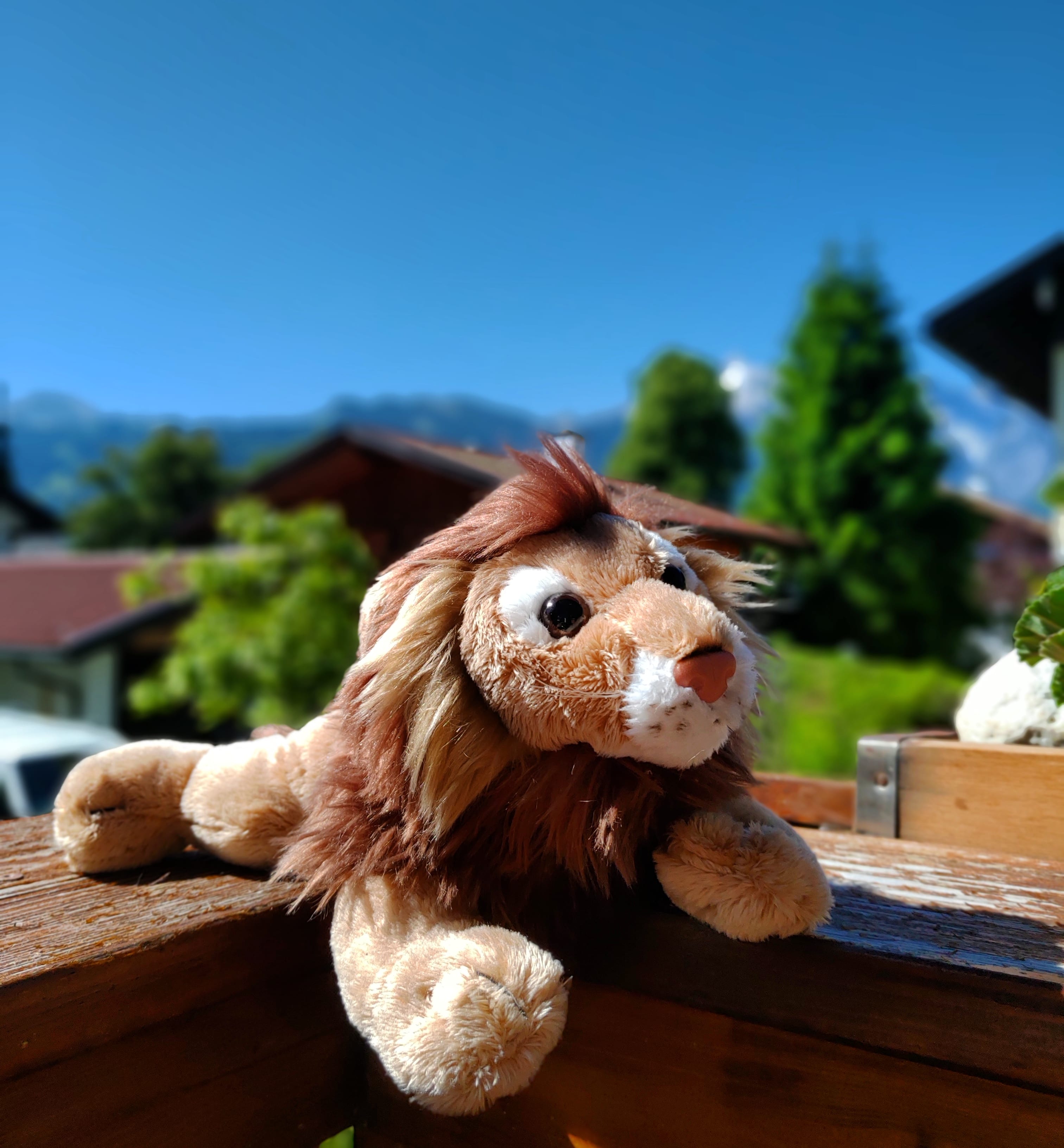 lion plush toy stuffed animal