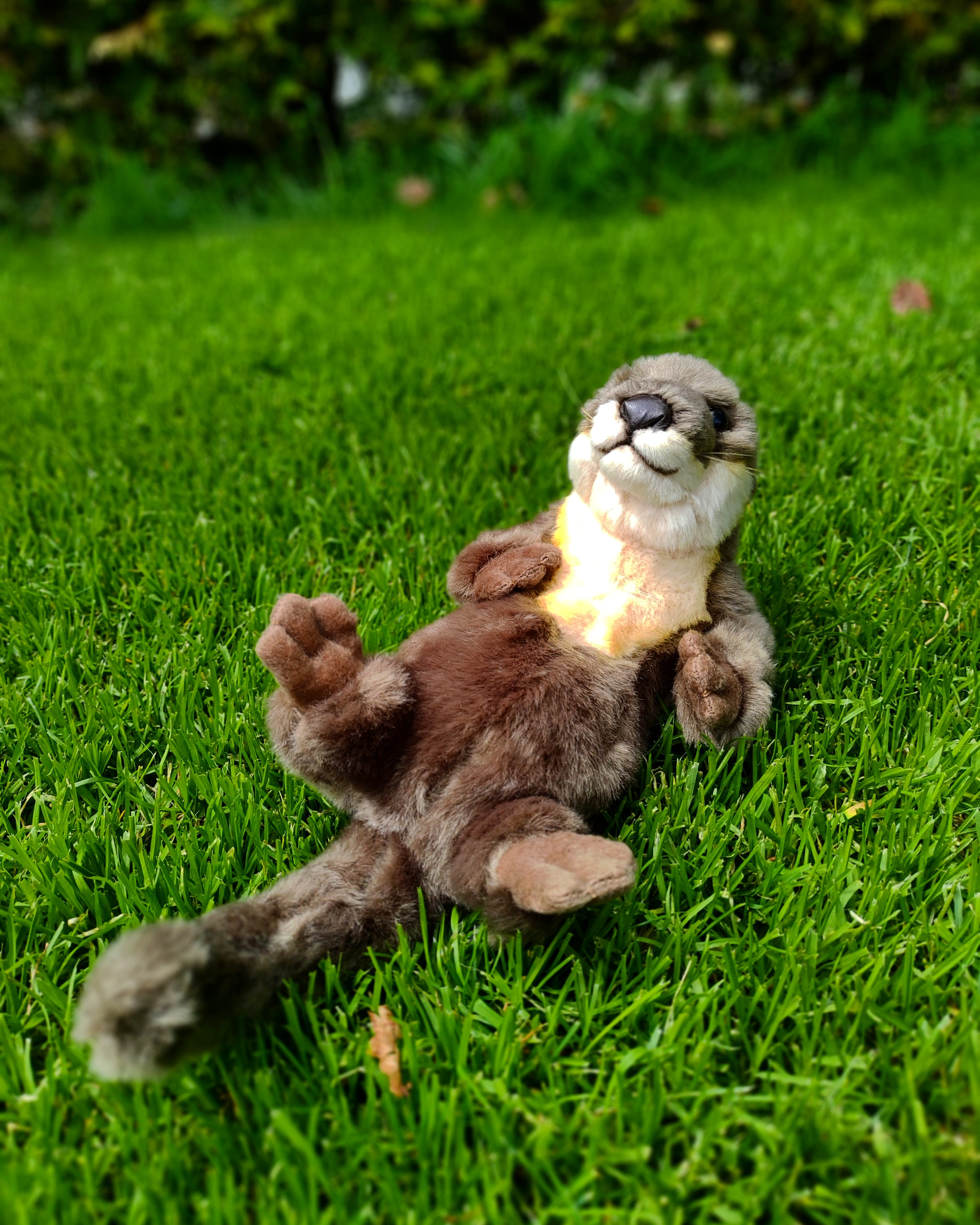 otter plush toy stuffed animal