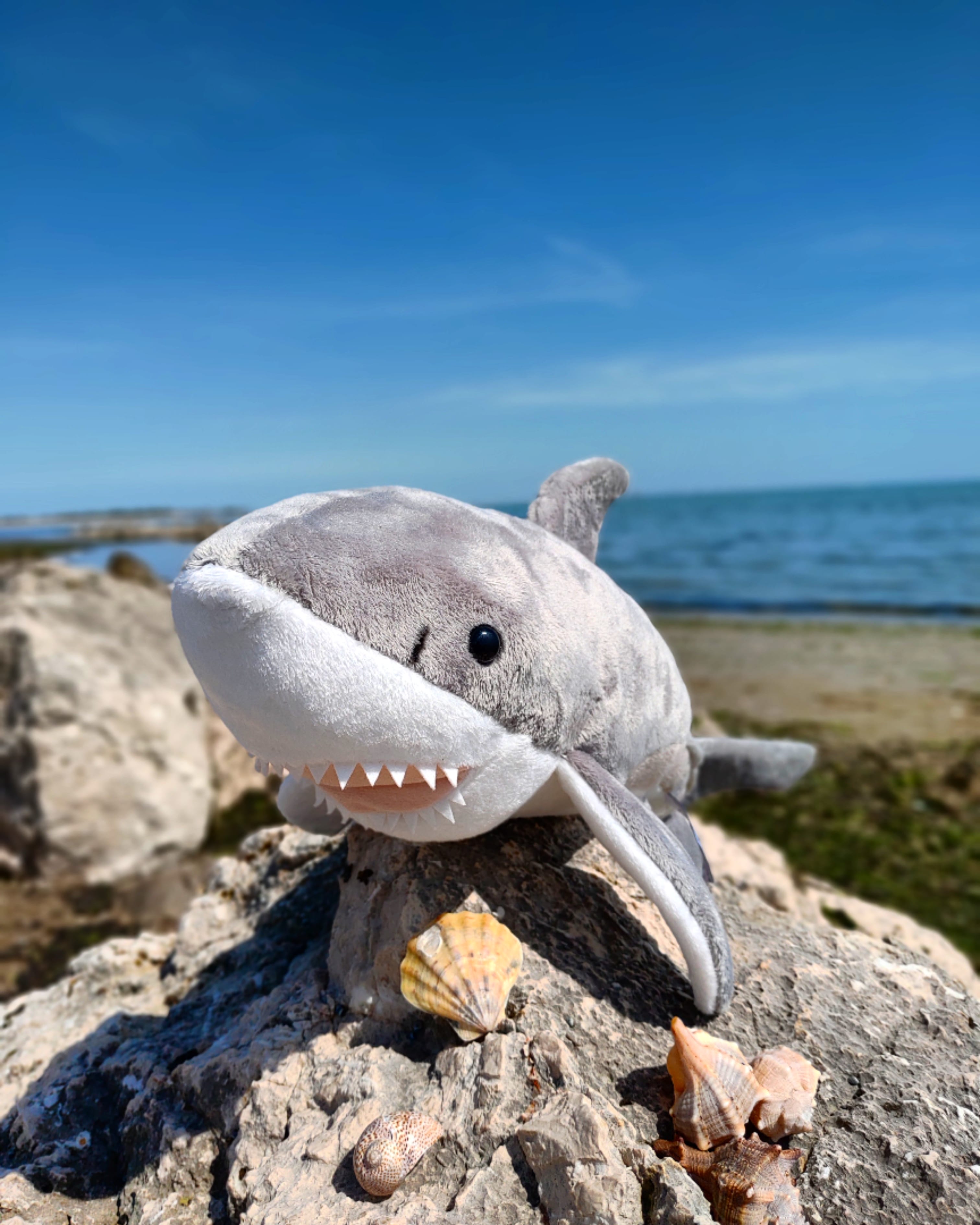 shark plush toy stuffed animal