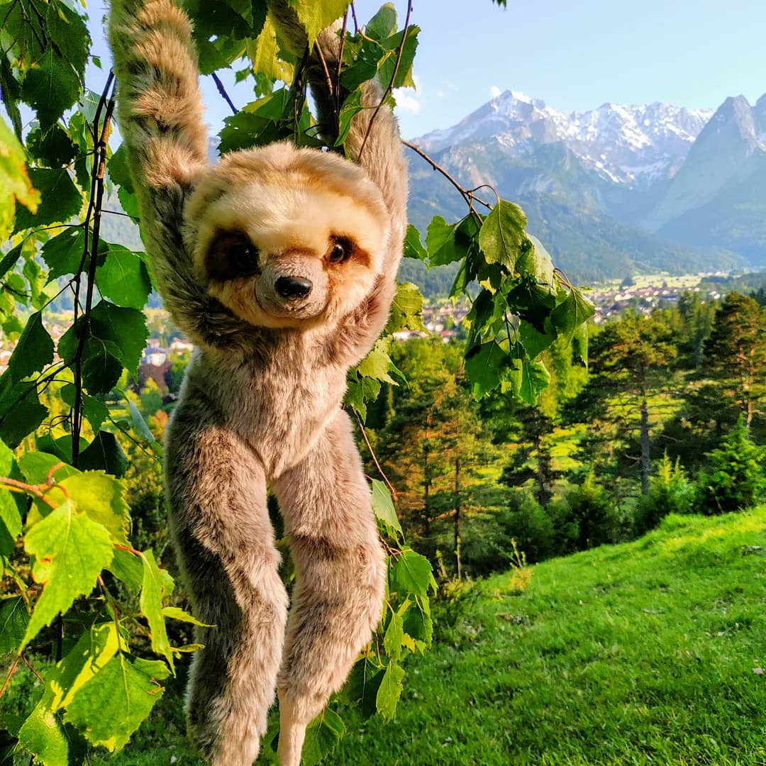 Sloth Plush Toy Stuffed Animal