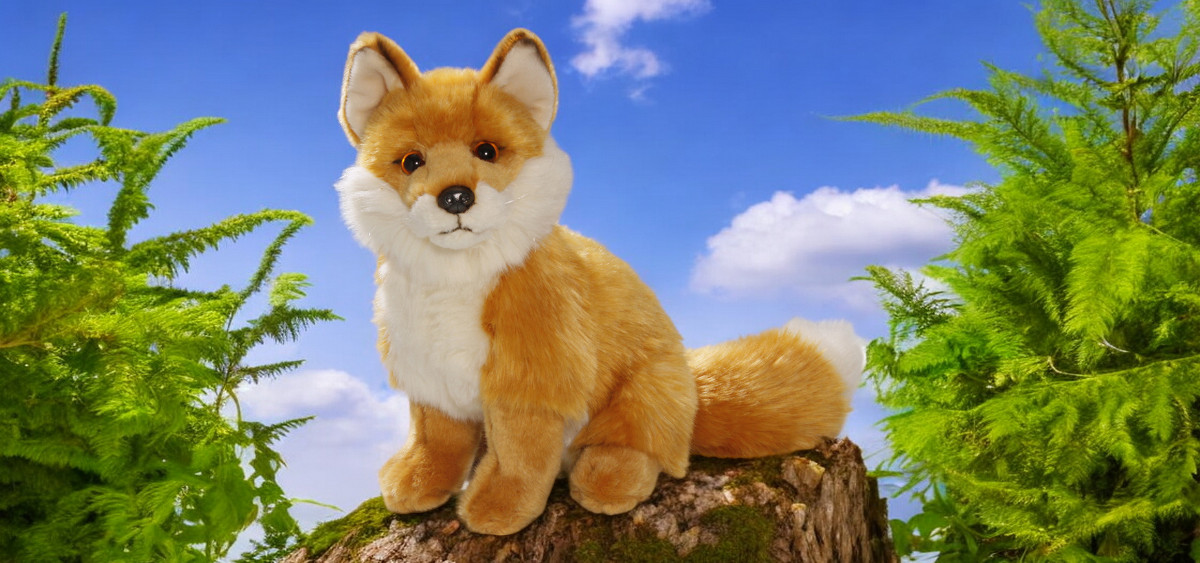 Kategorie Wald & Wiese