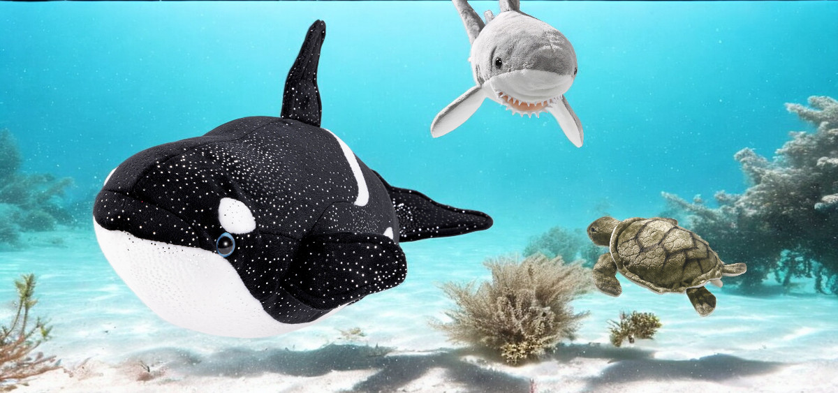 Kategorie Wasserwelt