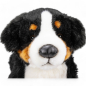 Preview: Plüschtier: Berner Sennenhund | Kuscheltier | Stofftier