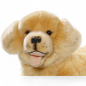 Preview: Golden Retriever lying | soft toy | stuffed animal | plush toy