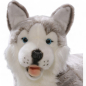 Preview: Husky lying | soft toy | stuffed animal | plush toy