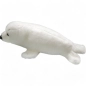 Preview: Seehund, Sattelrobbe Baby Preview: Seehund, Sattelrobbe Baby