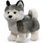 Preview: Plüschtier: Husky | Kuscheltier | Stofftier