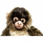 Preview: Klammeraffe Preview: Klammeraffe