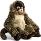 Preview: Klammeraffe Preview: Klammeraffe