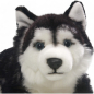 Preview: Husky black lying | soft toy | stuffed animal | plush toy