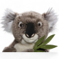Preview: Plüschtier: Koala Bär mit Blatt | Kuscheltier | Stofftier