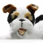 Preview: Fox Terrier liegend Preview: Fox Terrier liegend