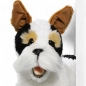 Preview: Fox Terrier liegend Preview: Fox Terrier liegend