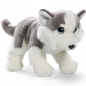Preview: Plüschtier: Husky mit großen Augen | Kuscheltier | Stofftier