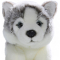 Preview: Husky Dog Puppy | soft toy | stuffed animal | plush toy