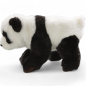 Preview: Plüschtier: Panda Bär | Kuscheltier | Stofftier