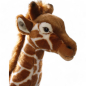 Preview: Giraffe | soft toy | stuffed animal | plush toy