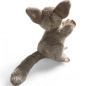 Preview: Bush Baby Galagos Preview: Bush Baby Galagos