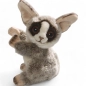 Preview: Bush Baby Galagos Preview: Bush Baby Galagos