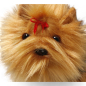 Preview: Plüschtier: Yorkshire Terrier stehend | Kuscheltier | Stofftier