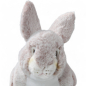 Preview: Plüschtier: Hase mit stehenden Ohren rötlich-beige | Kuscheltier | Stofftier