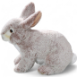 Preview: Plüschtier: Hase mit stehenden Ohren rötlich-beige | Kuscheltier | Stofftier