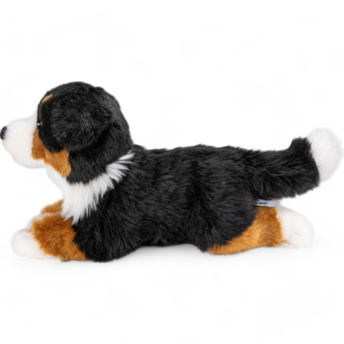 Bernese mountain dog sales toy