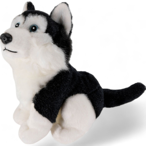 Husky black sitting | soft toy | stuffed animal | plush toy
