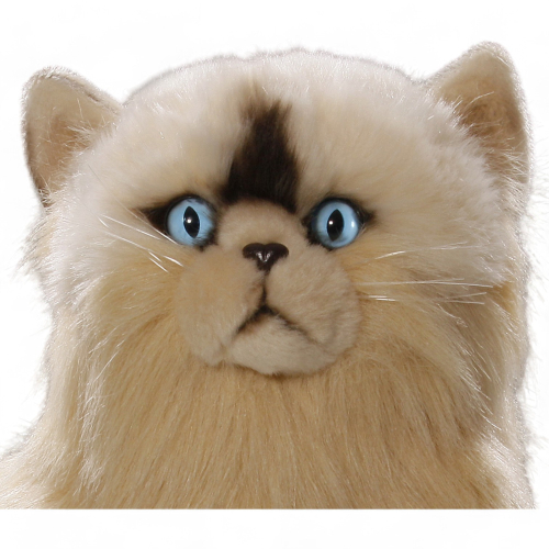 Cat, Persian, Himalayan sitting creme | soft toy | stuffed animal | plush toy