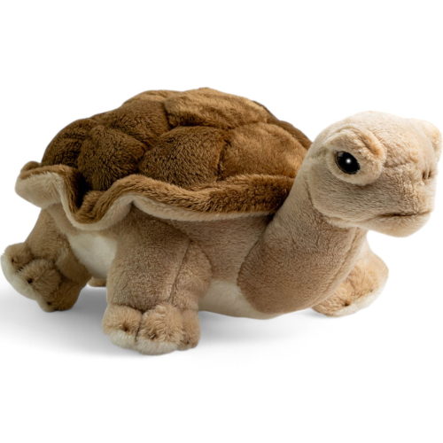 Turtle | soft toy | stuffed animal | plush toy