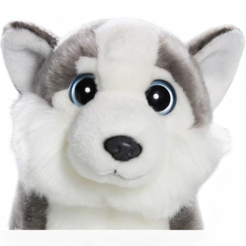 Plüschtier: Husky mit großen Augen | Kuscheltier | Stofftier