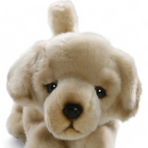Golden Retriever Dog Floppy | soft toy | stuffed animal | plush toy