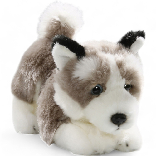 Plüschtier: Husky Floppy | Kuscheltier | Stofftier